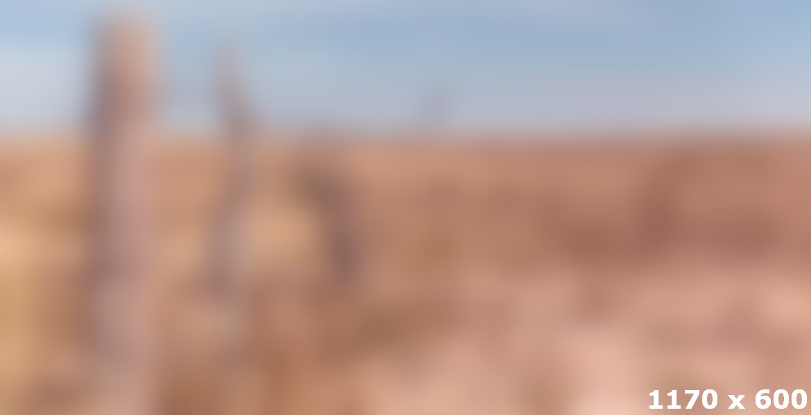 Palate Is A Subsidiary Stress Bearing Area, Bone Beneath